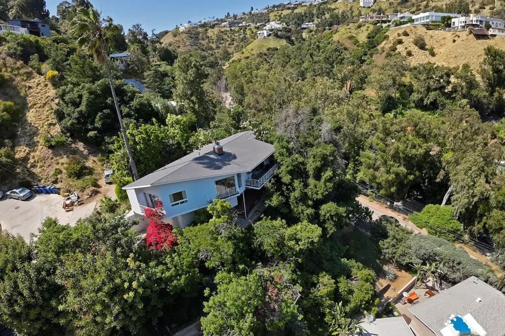 Stunning Hollywood Midcentury Modern-Views-Best Location! ロサンゼルス エクステリア 写真